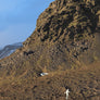 MAGNI'S MOUNTAINSIDE