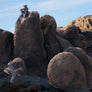 BARNEY'S BOULDERS [ B ]
