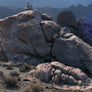 BARNEY'S BOULDERS [ C ]