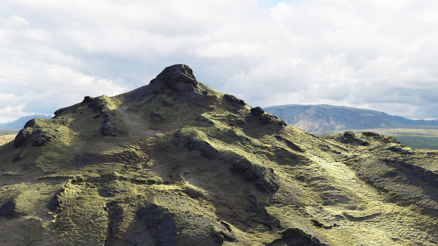 GRASSY HIGHLANDS [ C ]