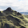 GRASSY HIGHLANDS [ C ]