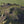 ODIN'S MOUND [ B ]