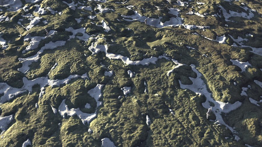 GRASSY HIGHLANDS [ D ]