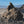 TRONA PINNACLES [ SET B ]